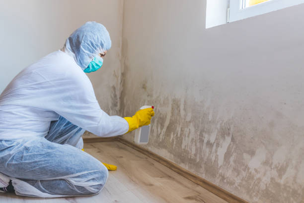 Bathroom Mold Removal assessment in Sumner bathroom